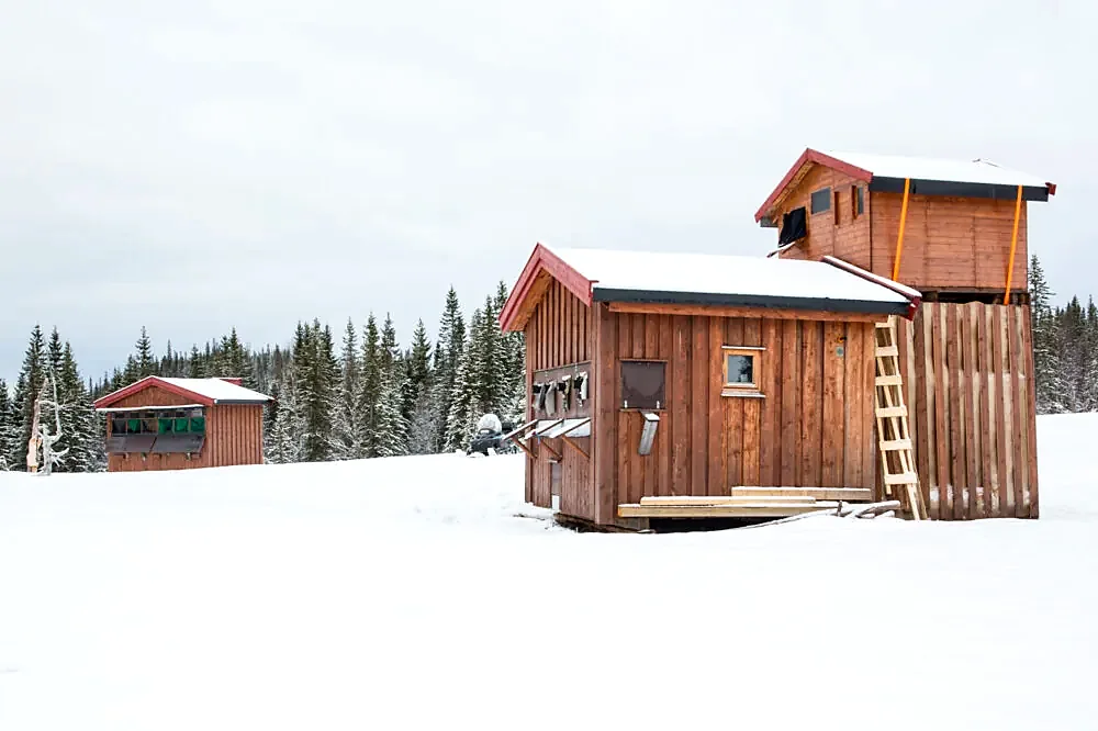 Exterior view of the golden eagle photography hides at Meådal in winter.
